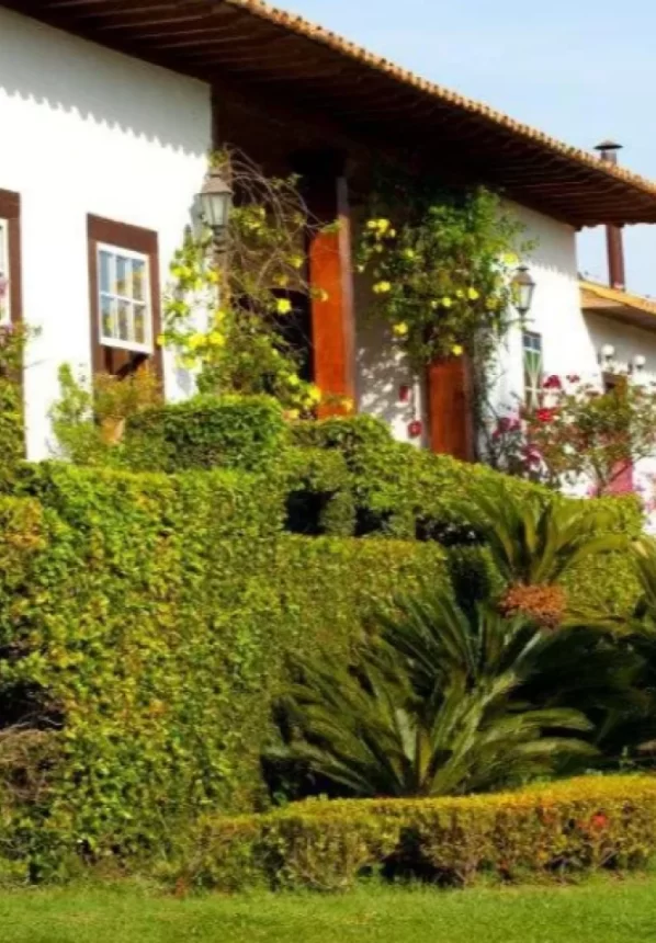 medium-shot-plus-sized-woman-influencer 1