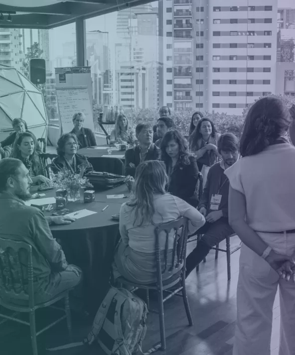 Design sem nome (35)